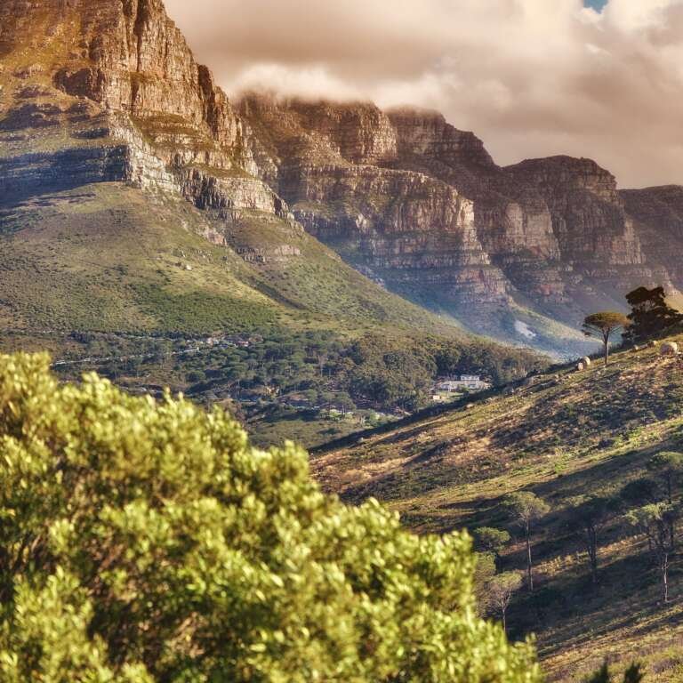 Table Mountain and surroundings